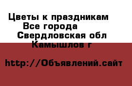 Цветы к праздникам  - Все города  »    . Свердловская обл.,Камышлов г.